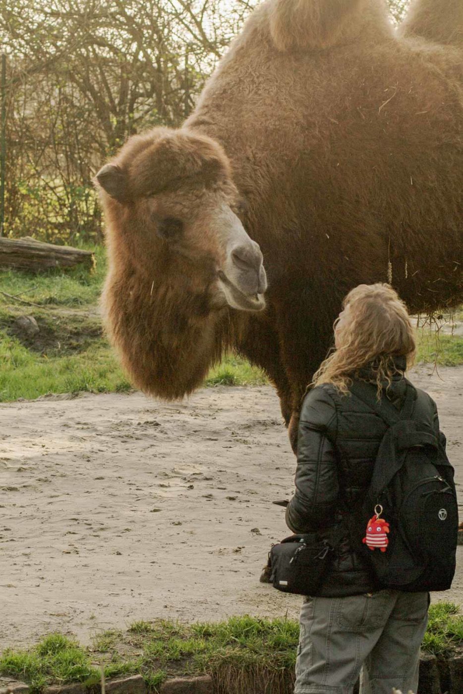2016-01-28 - Tierpark Hamm