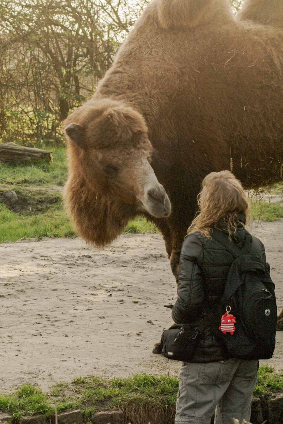2016-01-28 - Tierpark Hamm