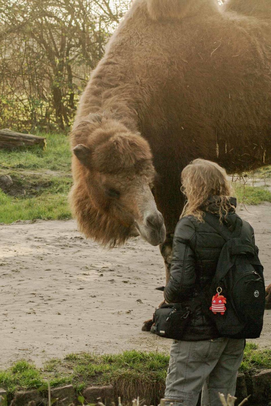 2016-01-28 - Tierpark Hamm