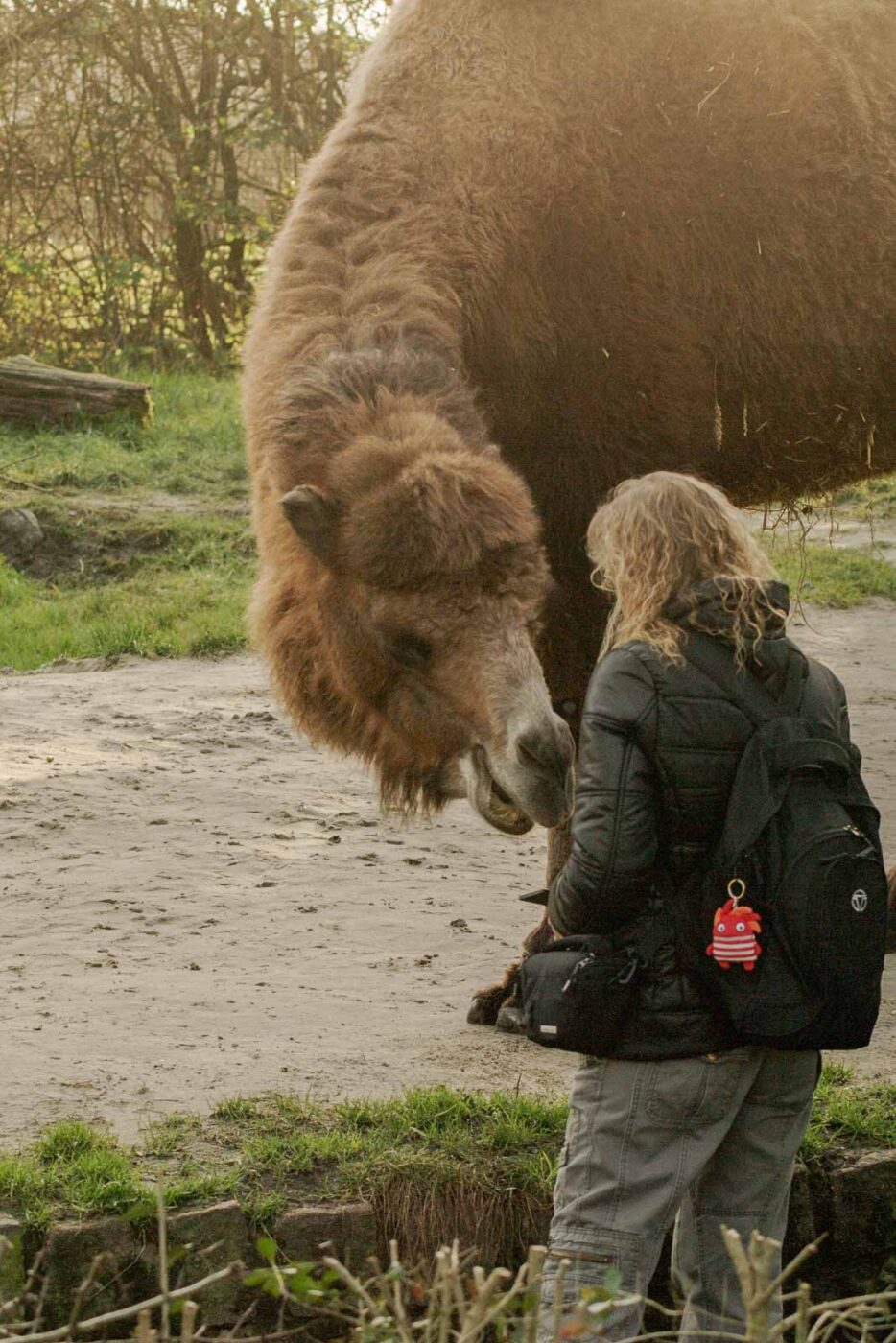 2016-01-28 - Tierpark Hamm