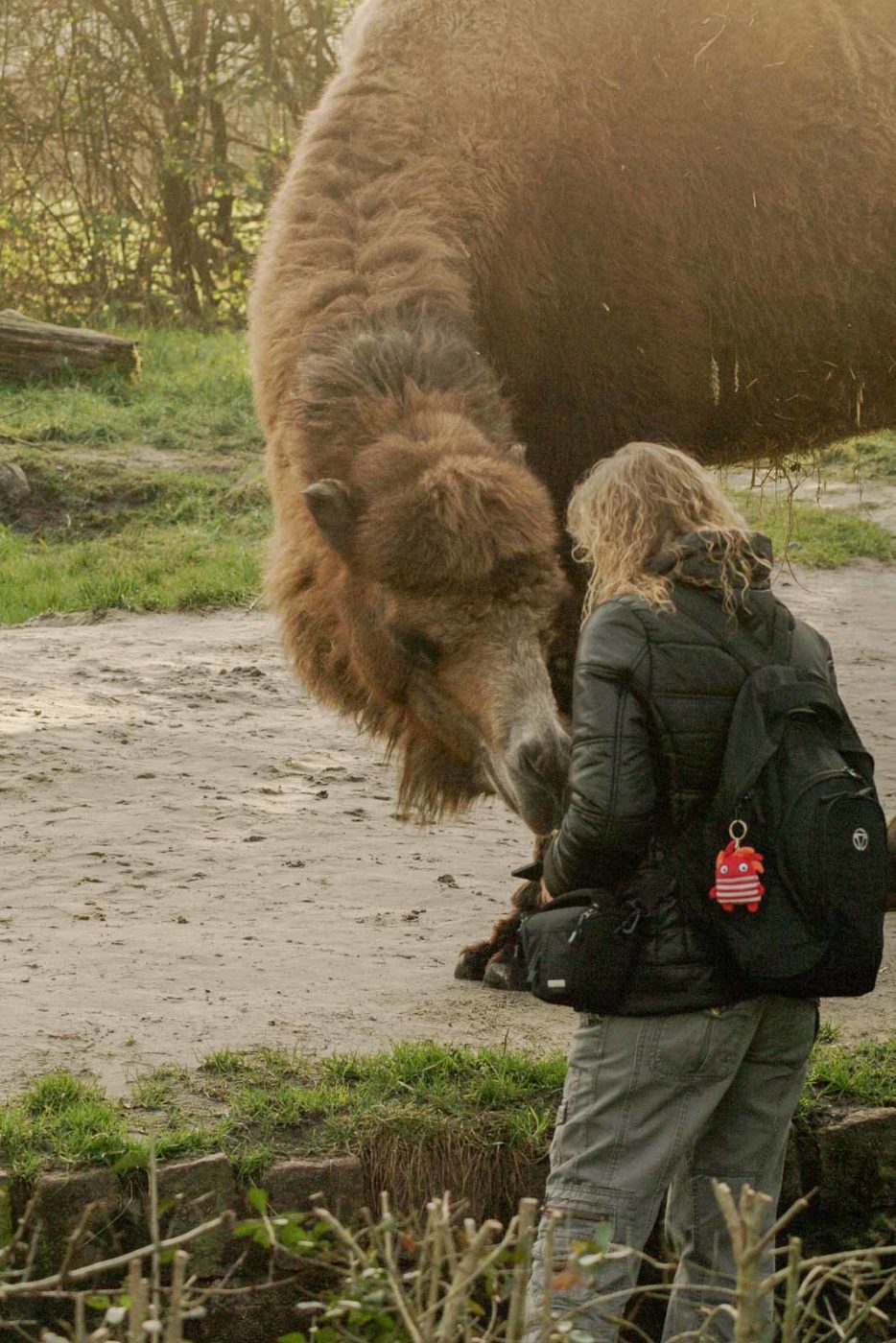 2016-01-28 - Tierpark Hamm