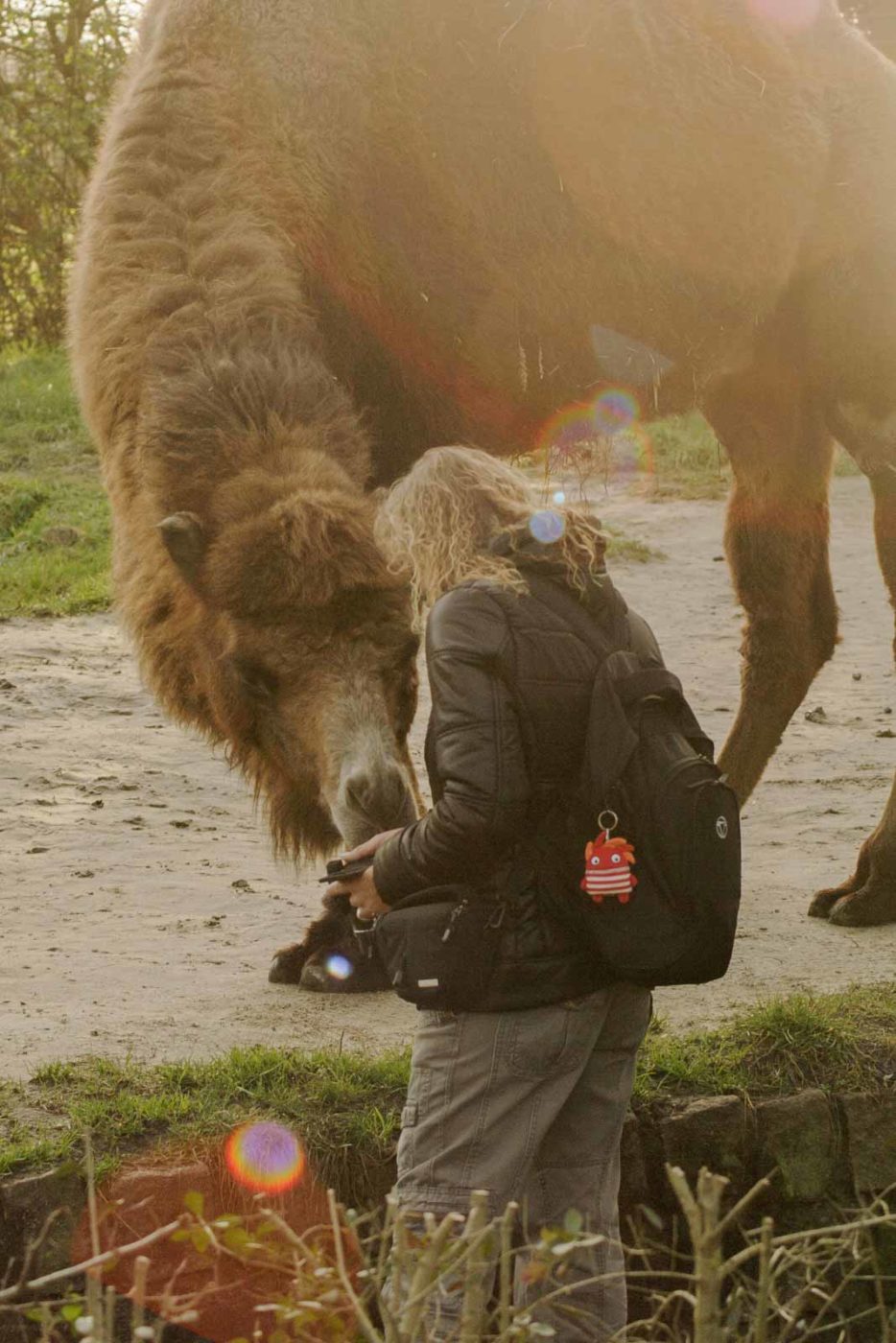 2016-01-28 - Tierpark Hamm