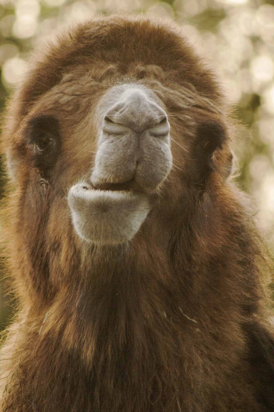 2016-01-28 - Tierpark Hamm