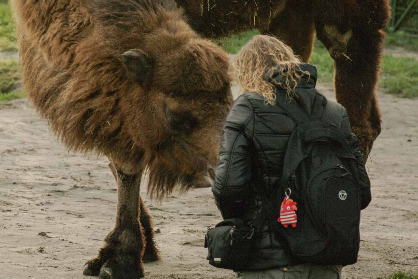 2016-01-28 - Tierpark Hamm