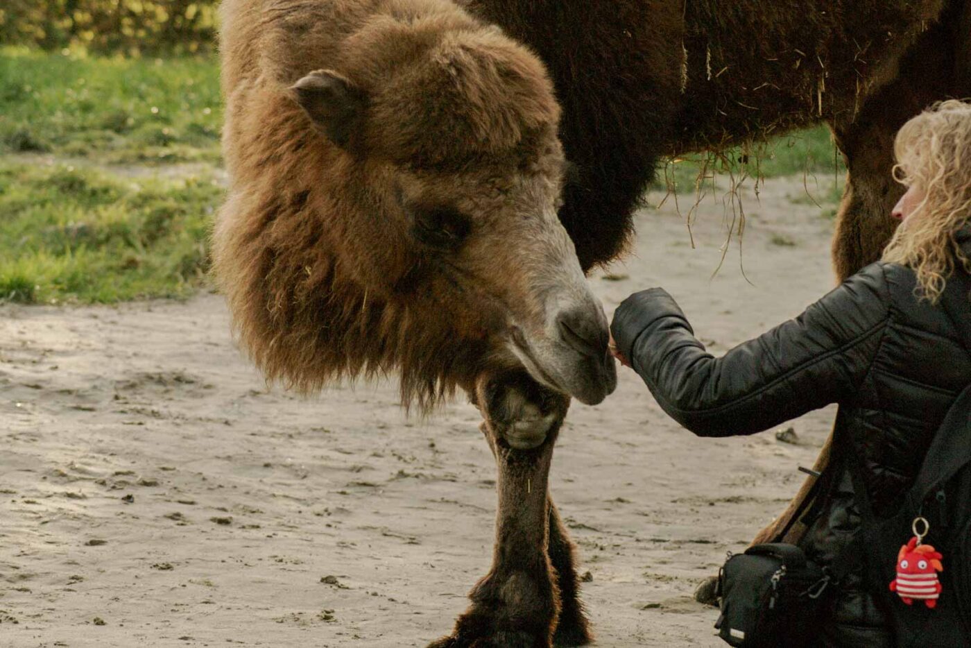 2016-01-28 - Tierpark Hamm