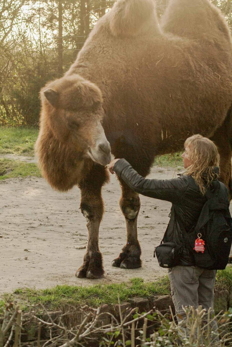 2016-01-28 - Tierpark Hamm