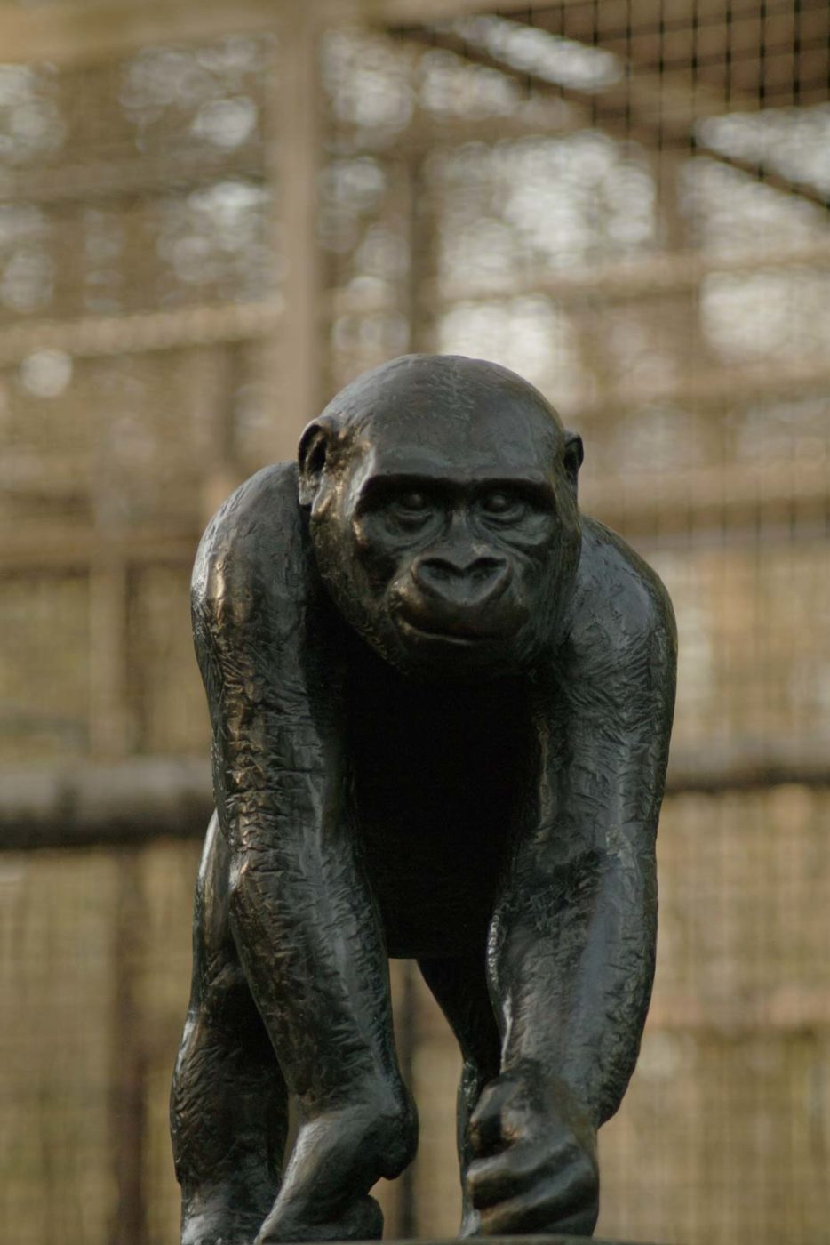 2016-01-28 - Tierpark Hamm