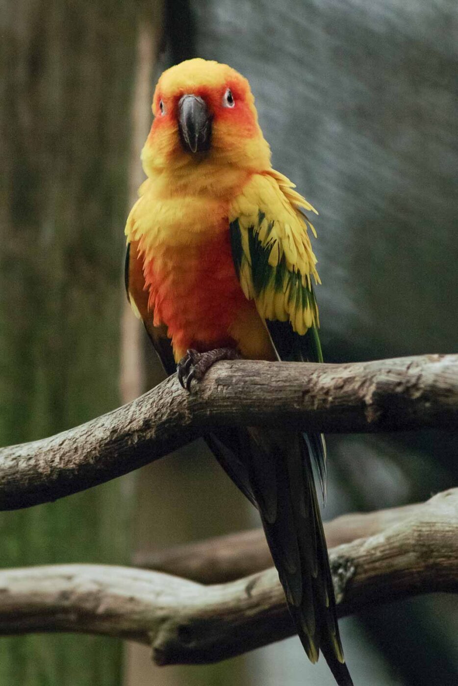 2016-02-02 - Allwetterzoo Münster