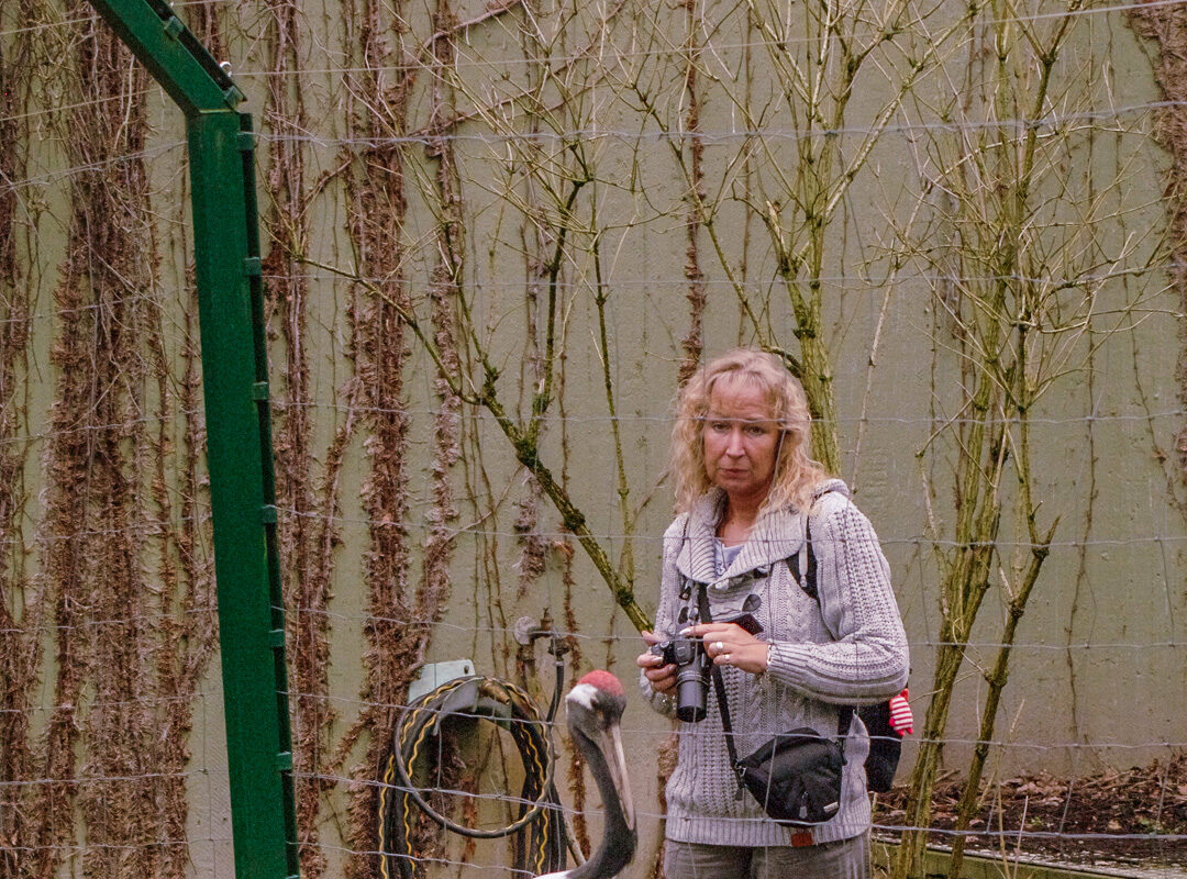 °2016-02-02 – Allwetterzoo Münster – TheUte & Mandschurenkranich°