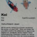 2016-02-02 - Allwetterzoo Münster