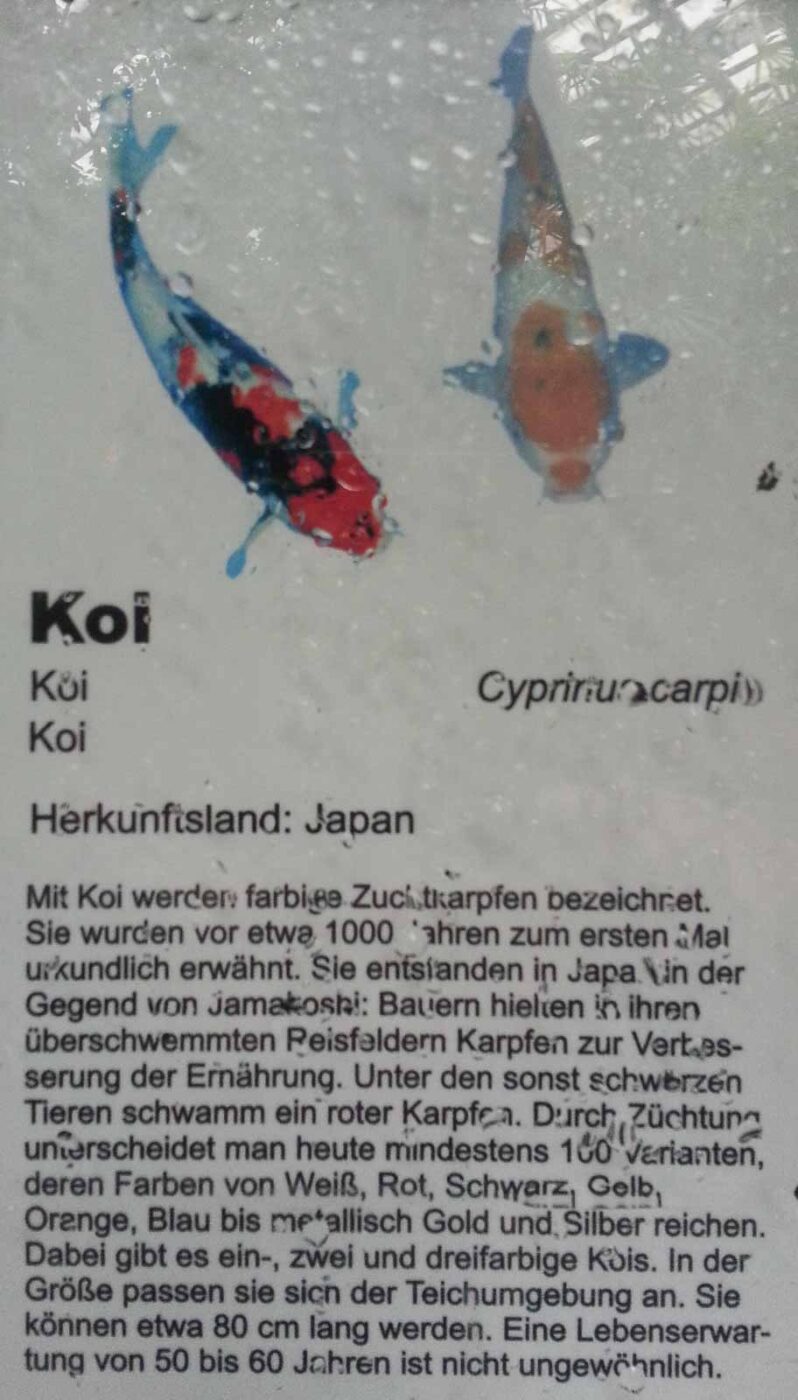 2016-02-02 - Allwetterzoo Münster