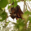 2016-02-02 - Allwetterzoo Münster