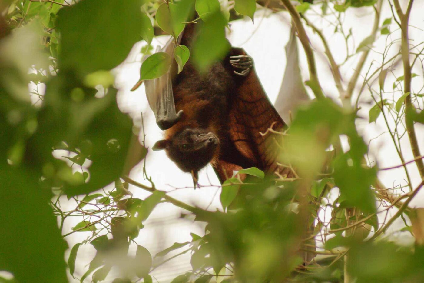 2016-02-02 - Allwetterzoo Münster