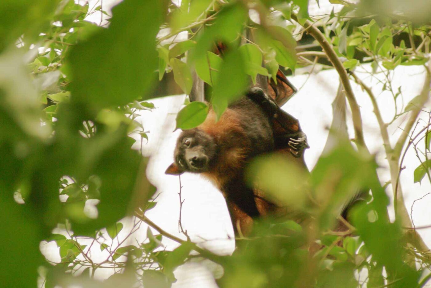 2016-02-02 - Allwetterzoo Münster