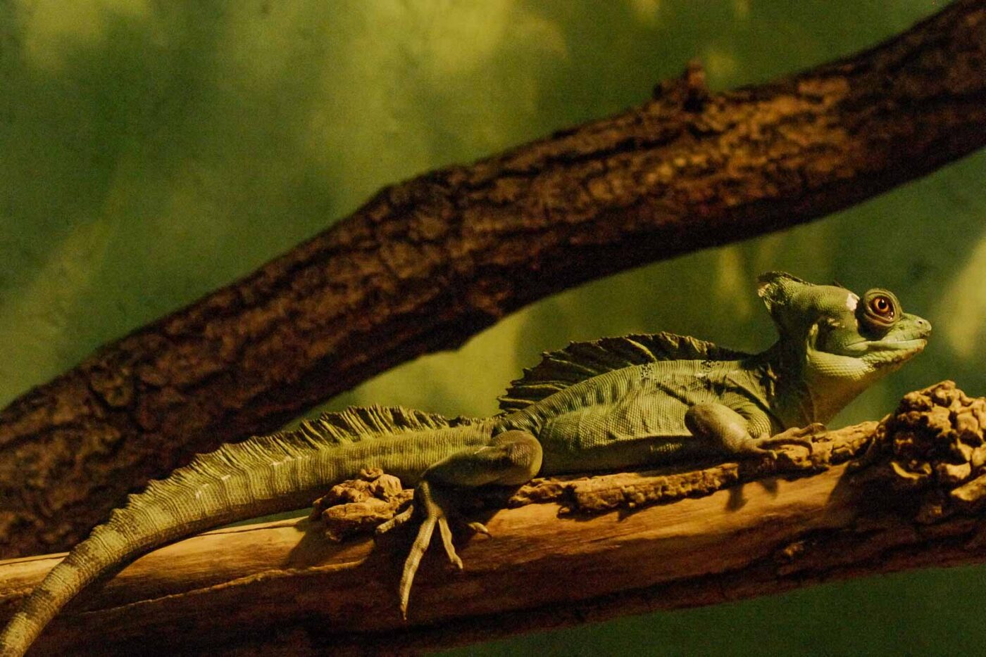 2016-02-02 - Allwetterzoo Münster