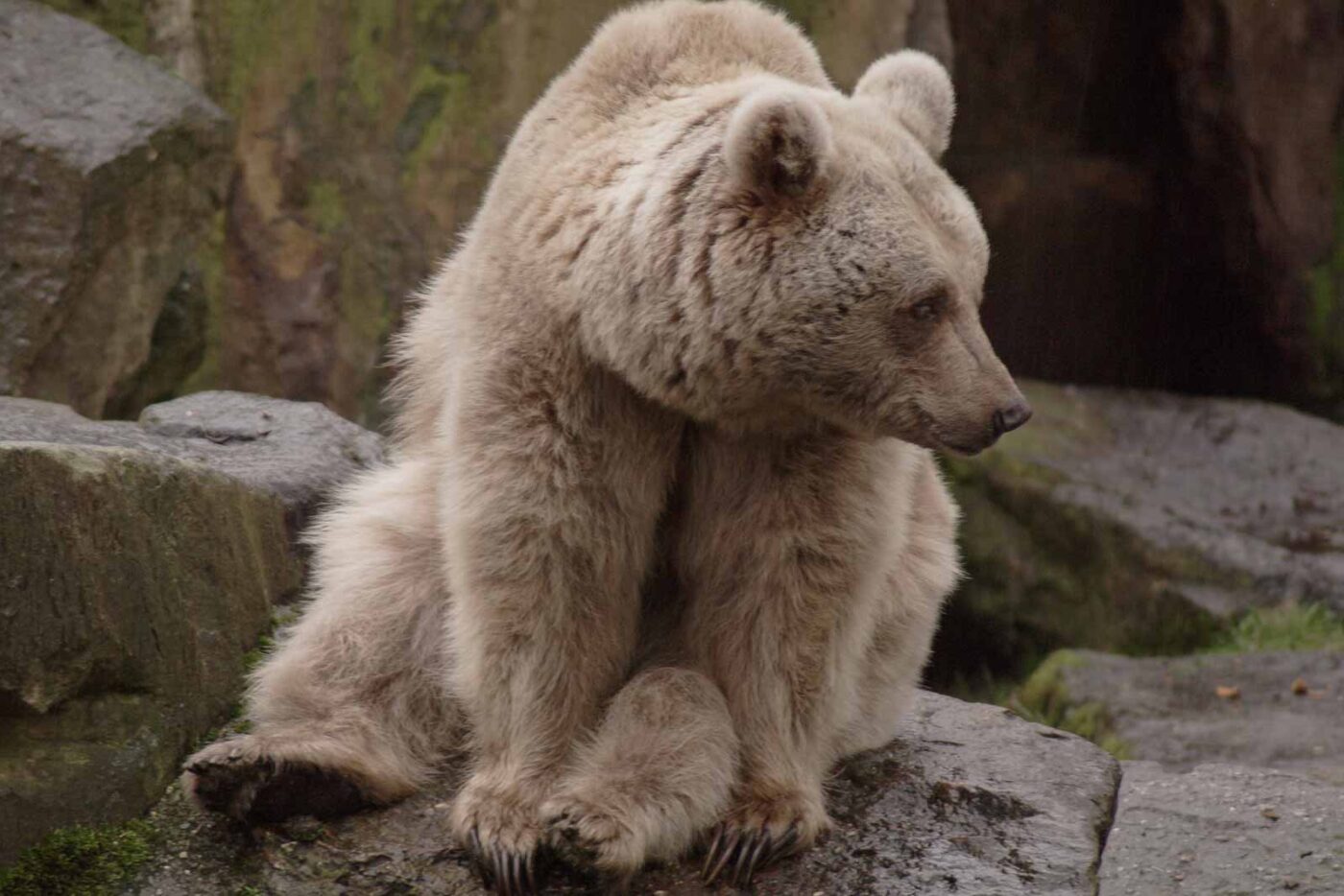 2016-02-02 - Allwetterzoo Münster