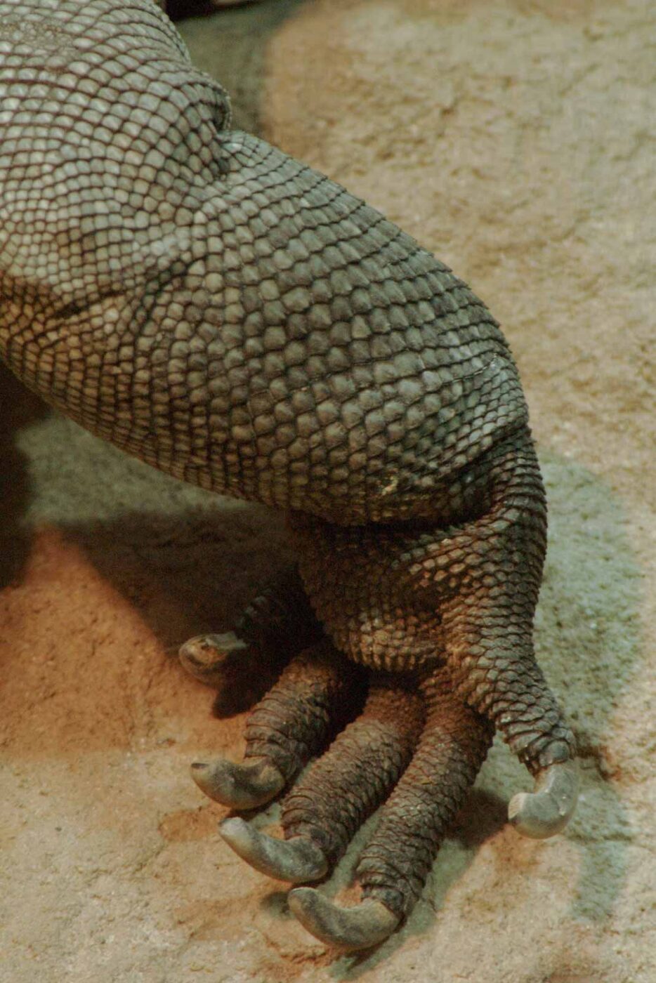 2016-02-02 - Allwetterzoo Münster