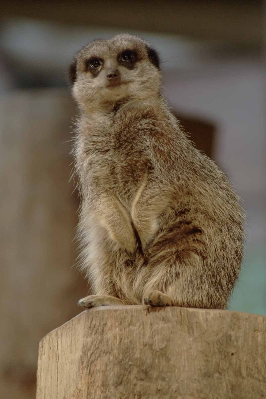 2016-02-02 - Allwetterzoo Münster