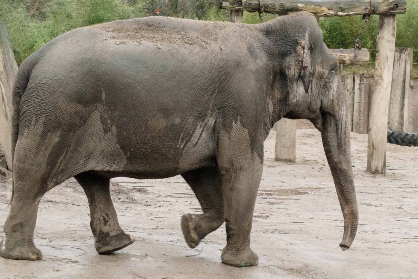 2016-02-02 - Allwetterzoo Münster
