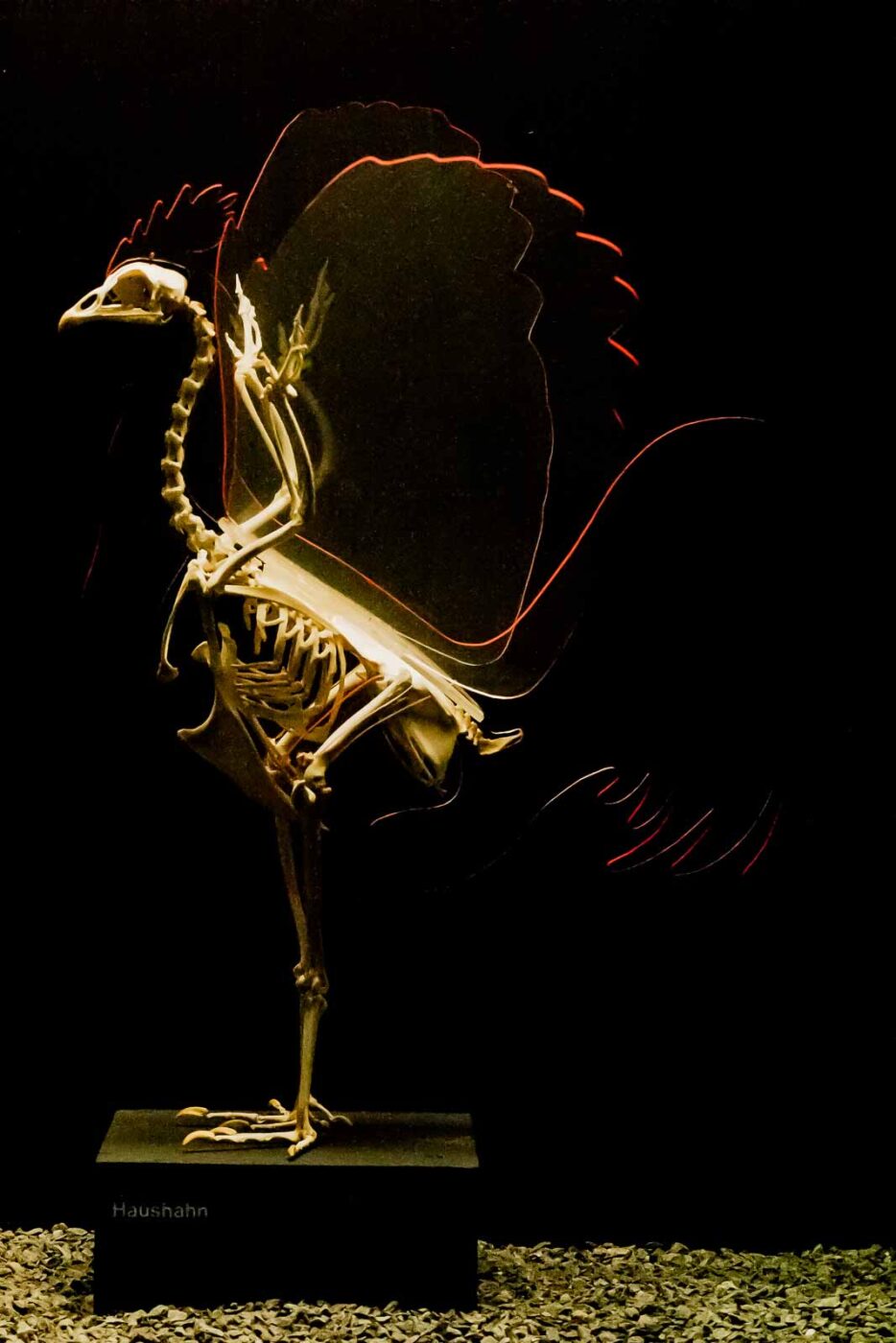 2016-02-02 - Allwetterzoo Münster