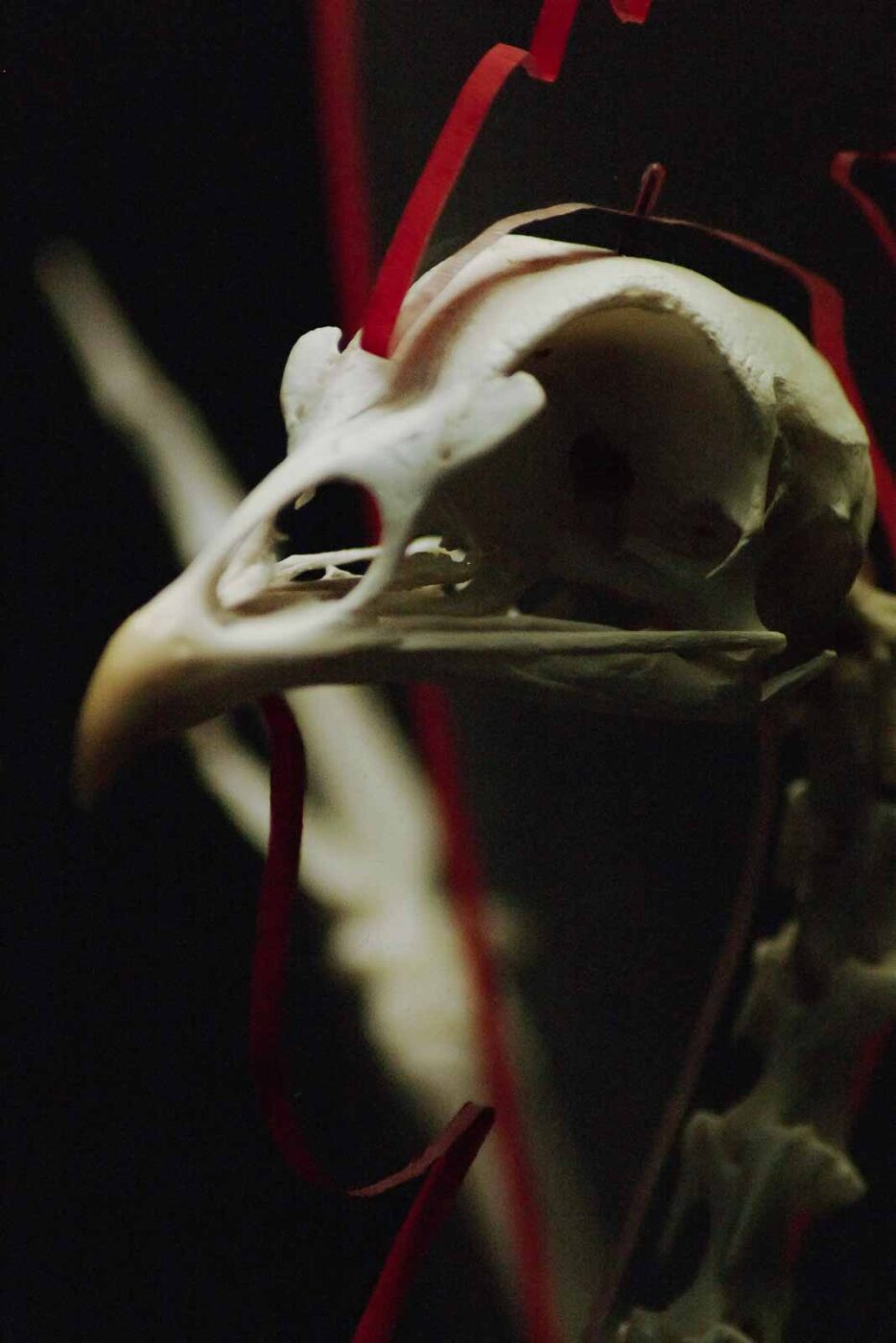 2016-02-02 - Allwetterzoo Münster