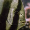 2016-02-02 - Allwetterzoo Münster