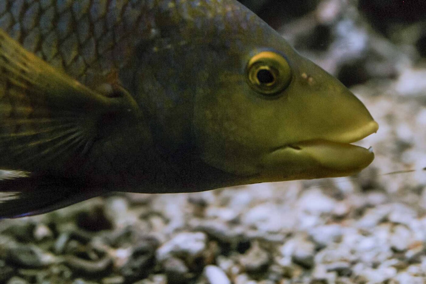 2016-02-02 - Allwetterzoo Münster