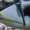 2016-02-02 - Allwetterzoo Münster