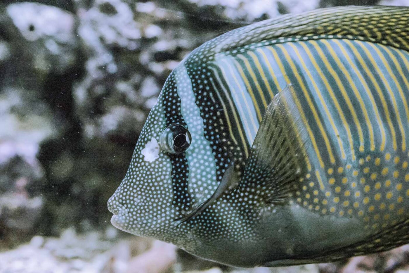 2016-02-02 - Allwetterzoo Münster