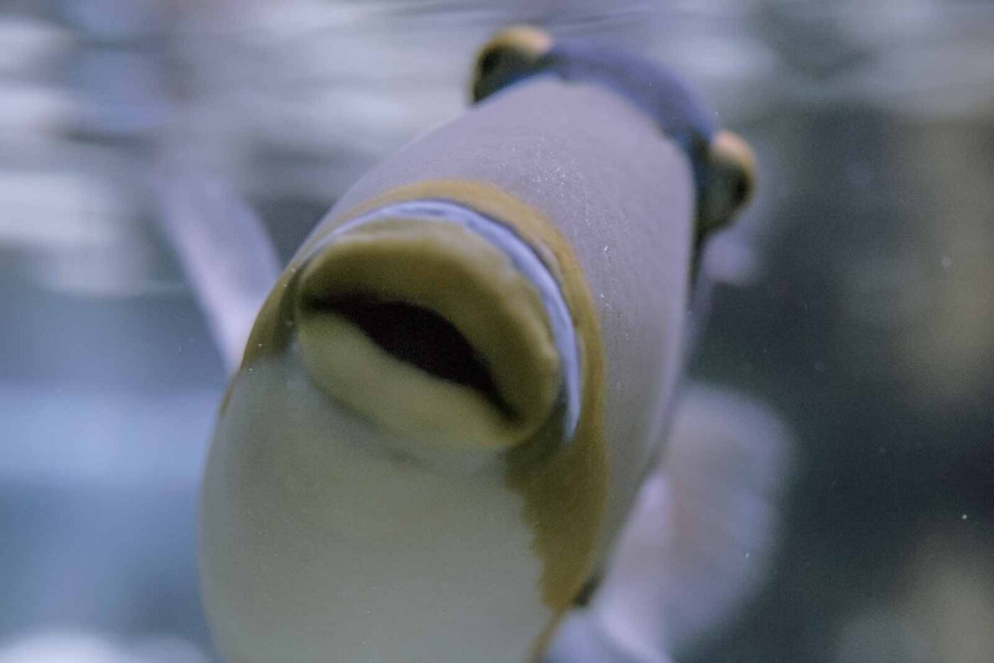 2016-02-02 - Allwetterzoo Münster