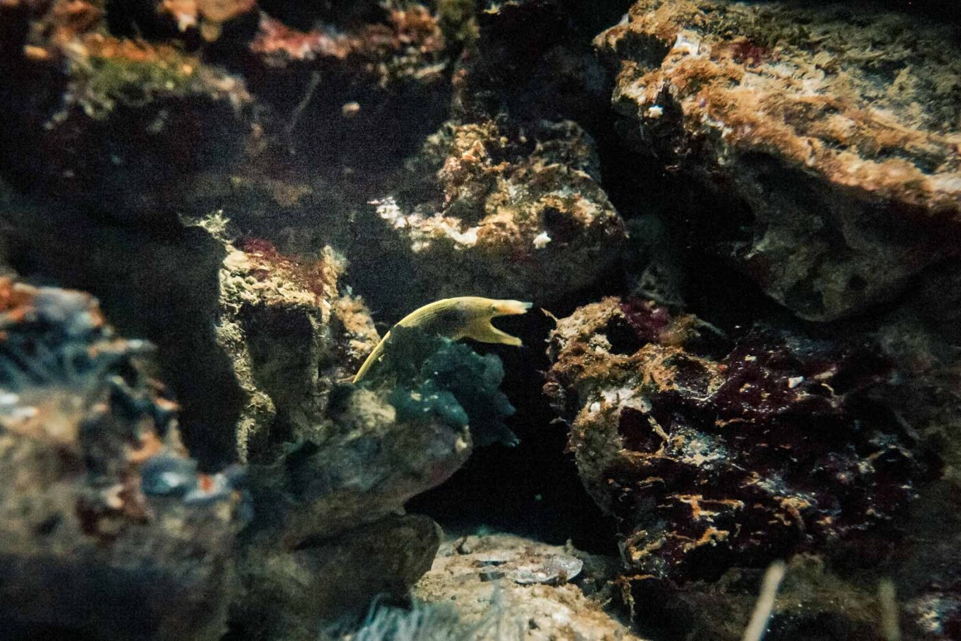 2016-02-02 - Allwetterzoo Münster