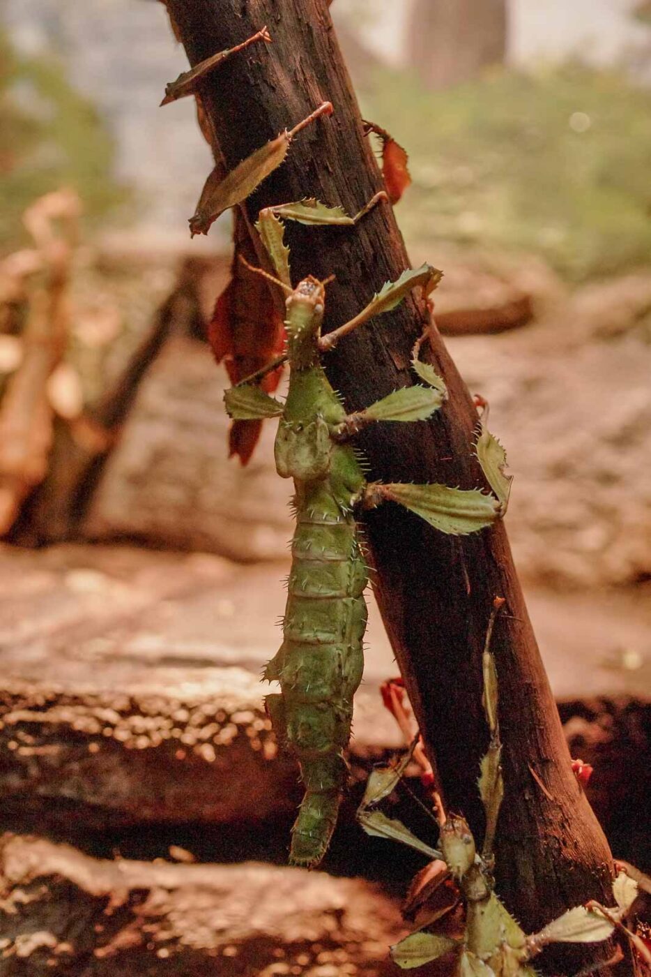 2016-02-02 - Allwetterzoo Münster