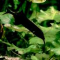 2016-02-11 - Tierpark und Fossilium Bochum
