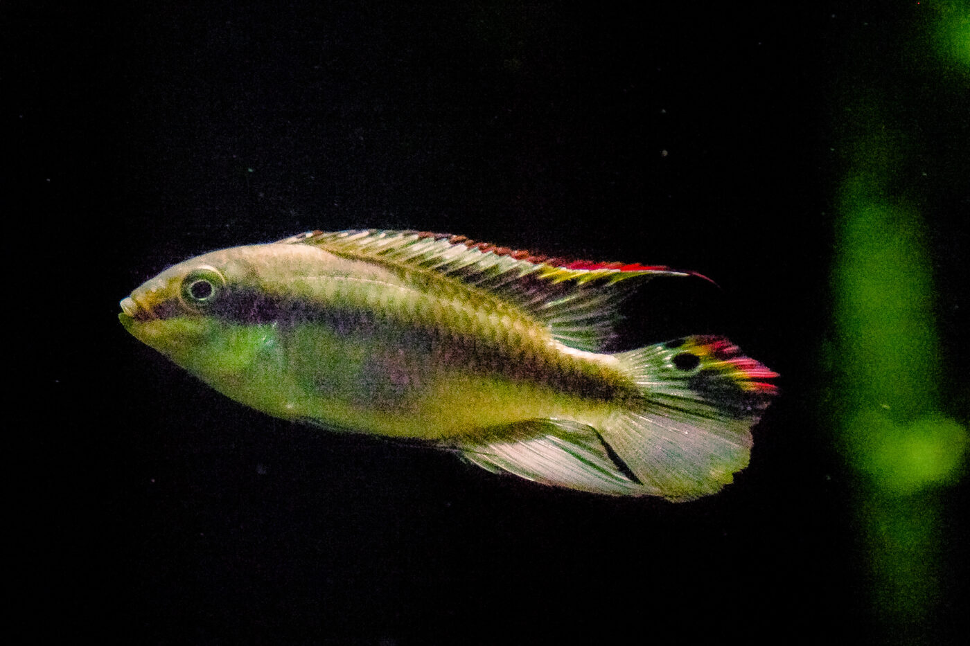 2016-02-11 - Tierpark und Fossilium Bochum