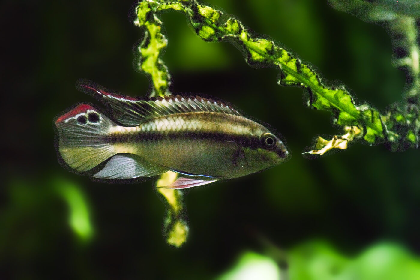2016-02-11 - Tierpark und Fossilium Bochum