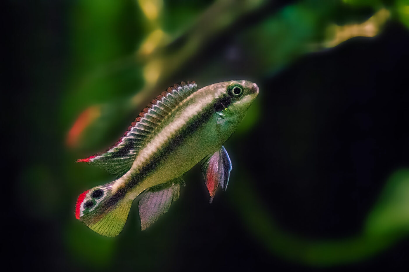 2016-02-11 - Tierpark und Fossilium Bochum