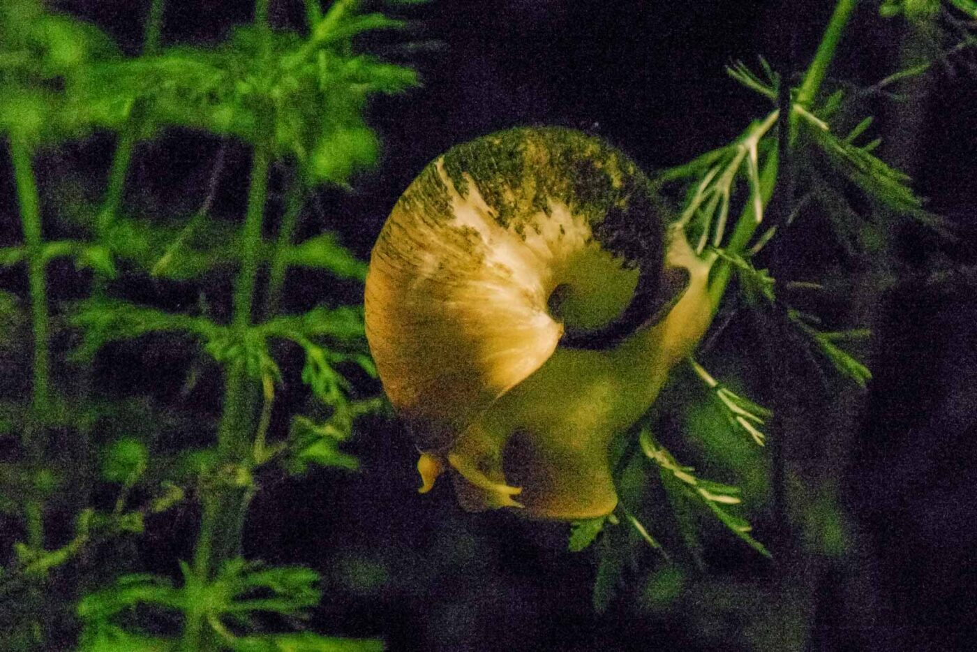 2016-02-11 - Tierpark und Fossilium Bochum