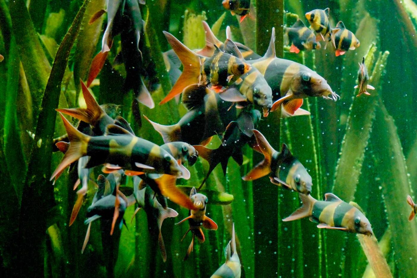 2016-02-11 - Tierpark und Fossilium Bochum