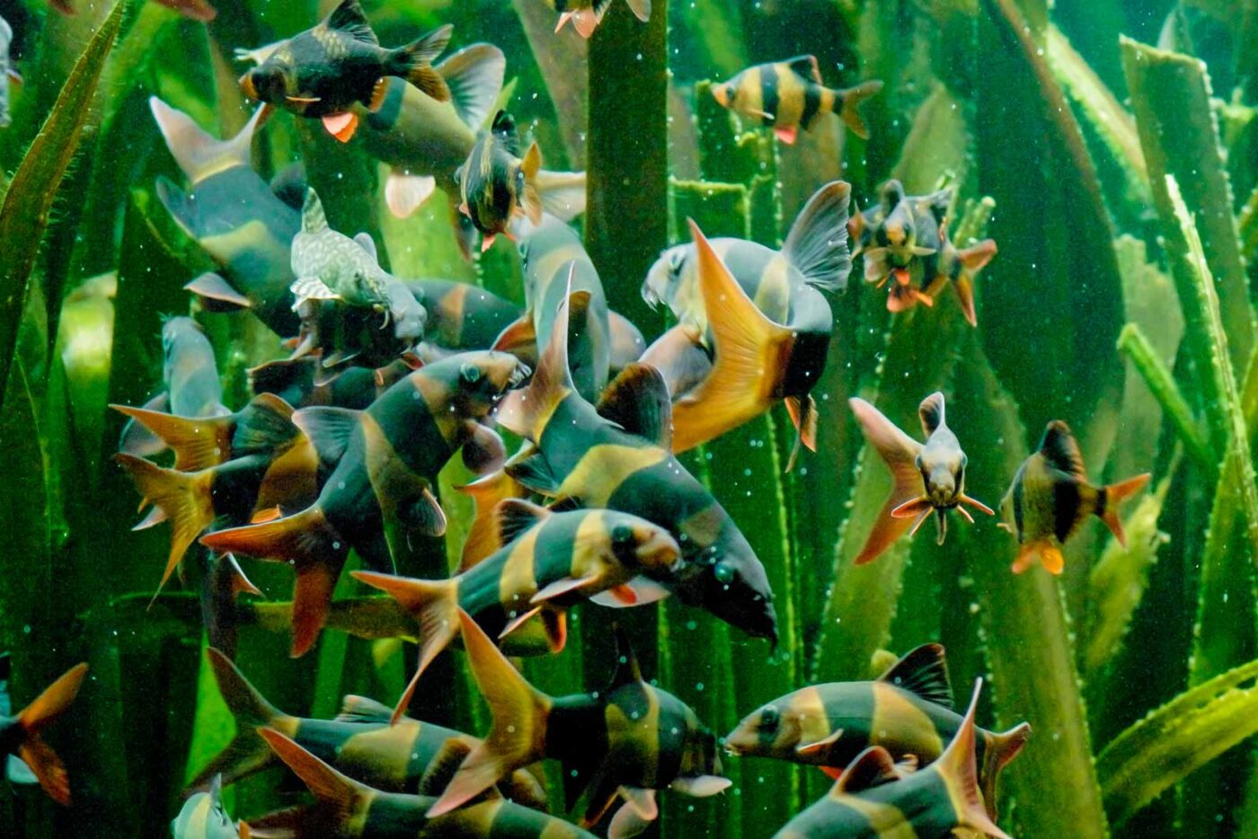 2016-02-11 - Tierpark und Fossilium Bochum