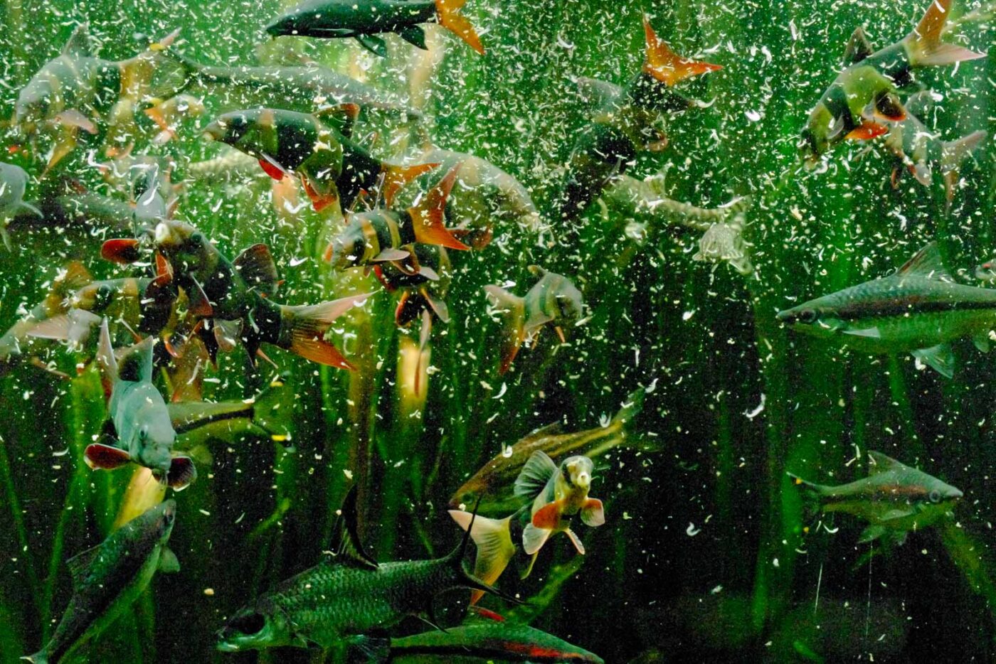 2016-02-11 - Tierpark und Fossilium Bochum