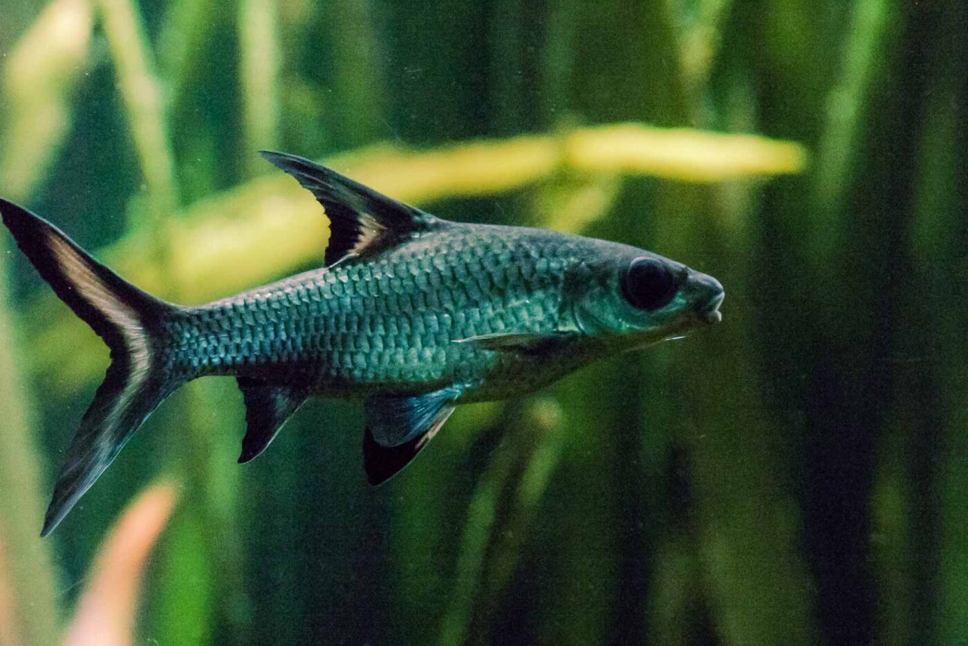 2016-02-11 - Tierpark und Fossilium Bochum