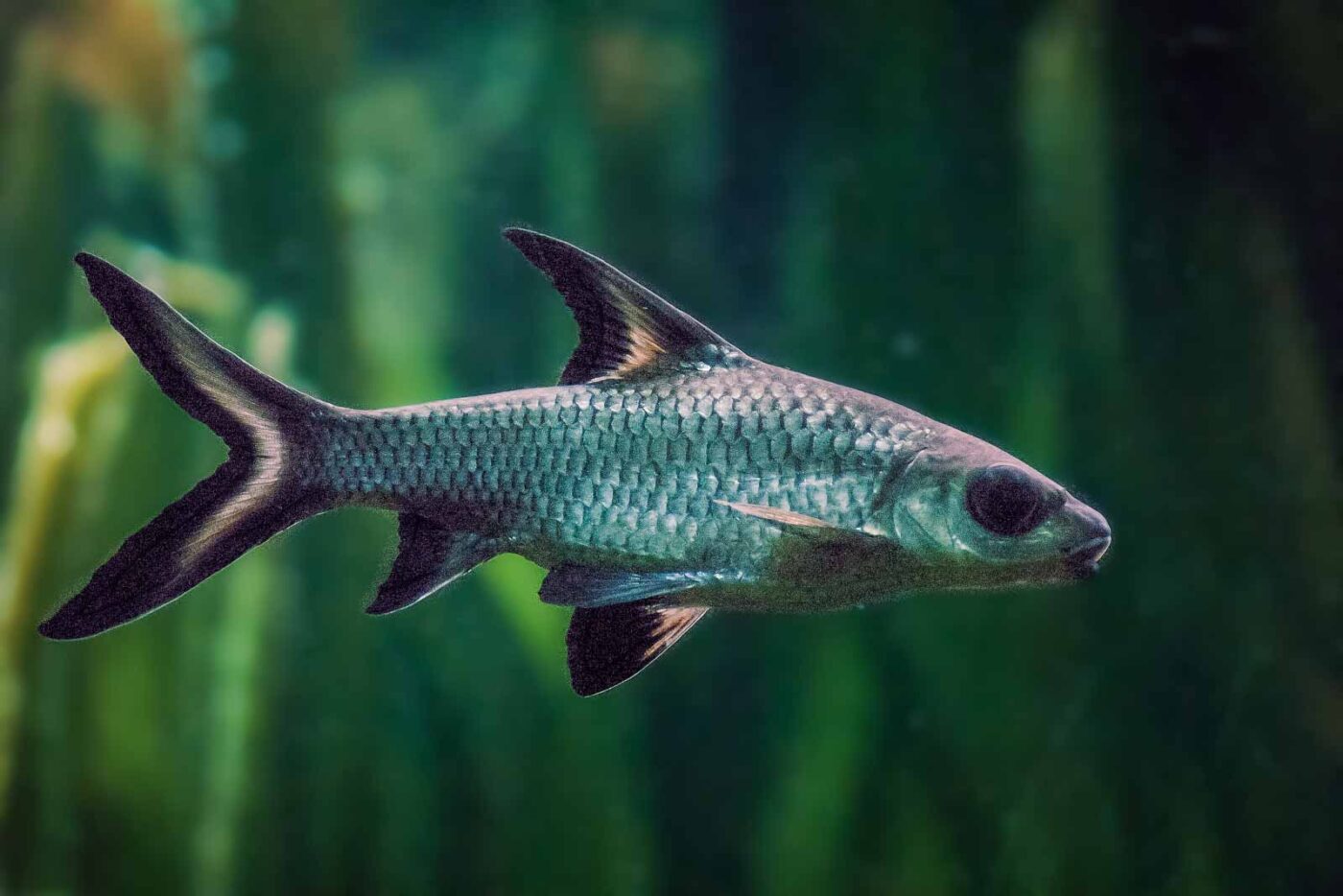 2016-02-11 - Tierpark und Fossilium Bochum