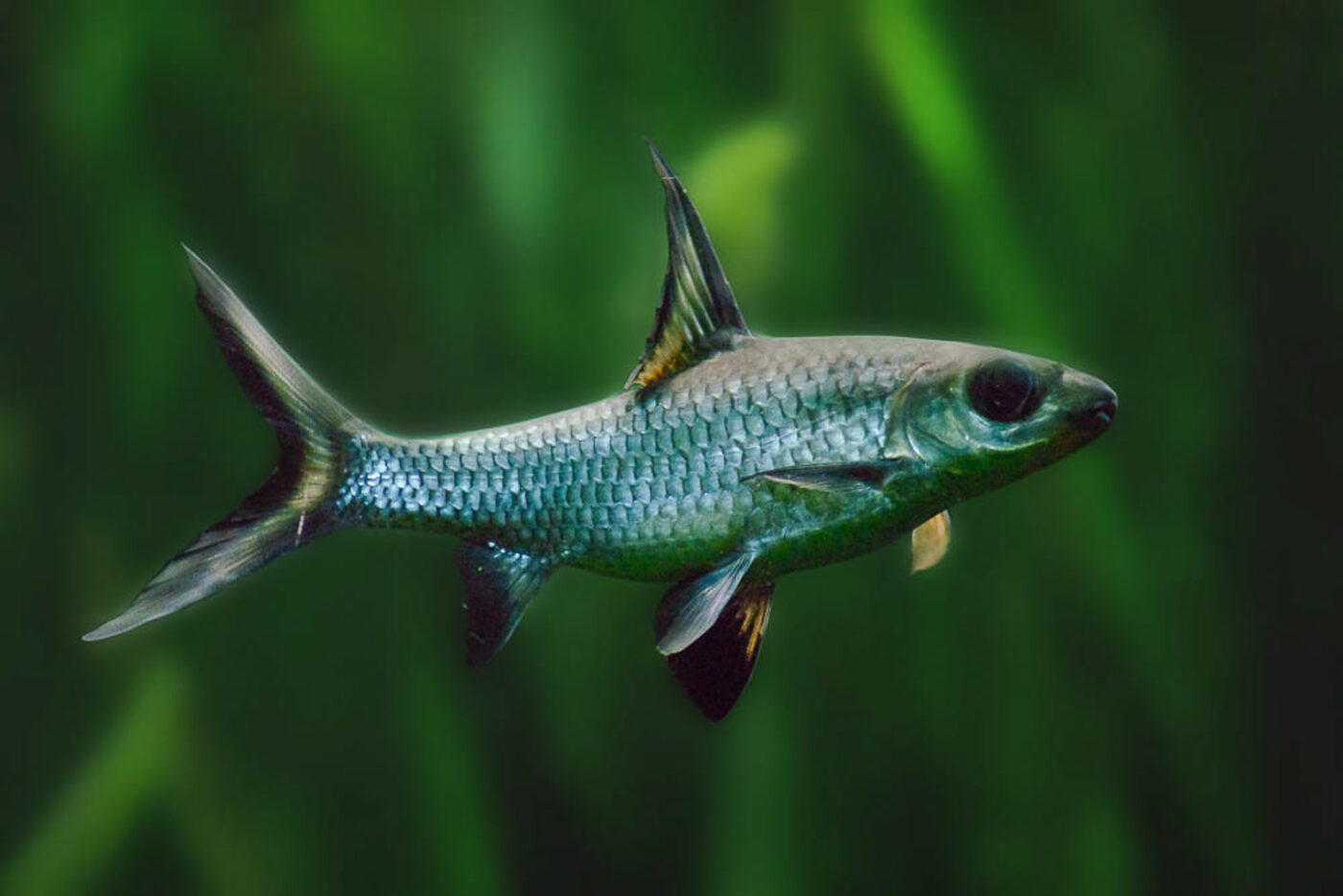 2016-02-11 - Tierpark und Fossilium Bochum