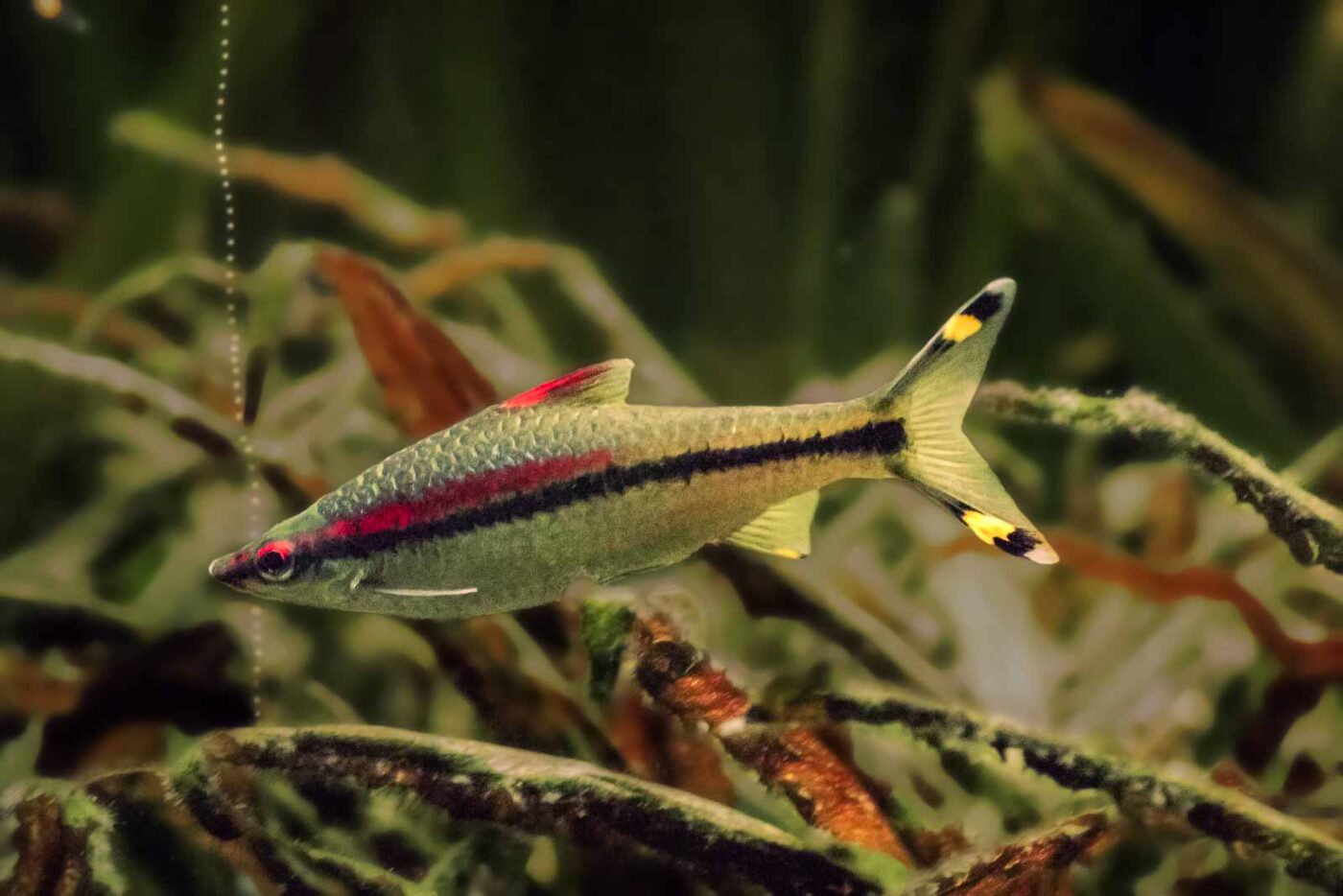 2016-02-11 - Tierpark und Fossilium Bochum