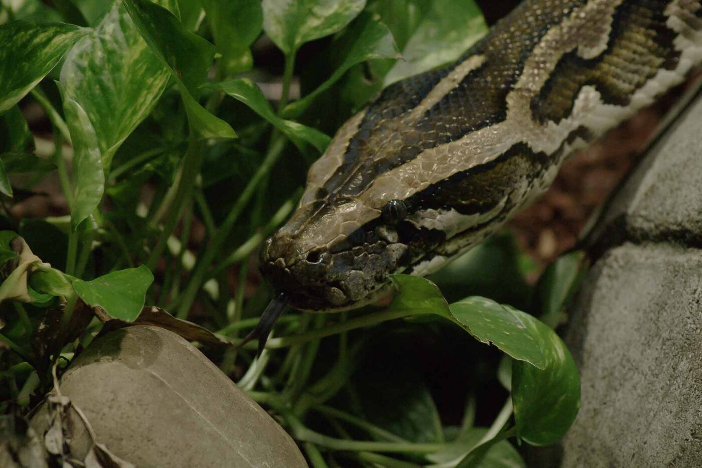 2016-02-17 - Tierpark und Fossilium Bochum