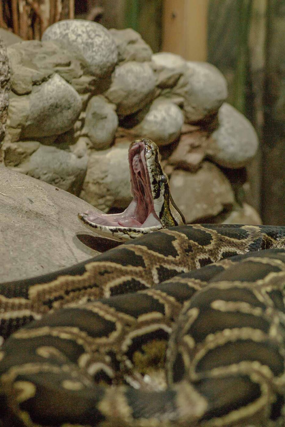 2016-02-17 - Tierpark und Fossilium Bochum