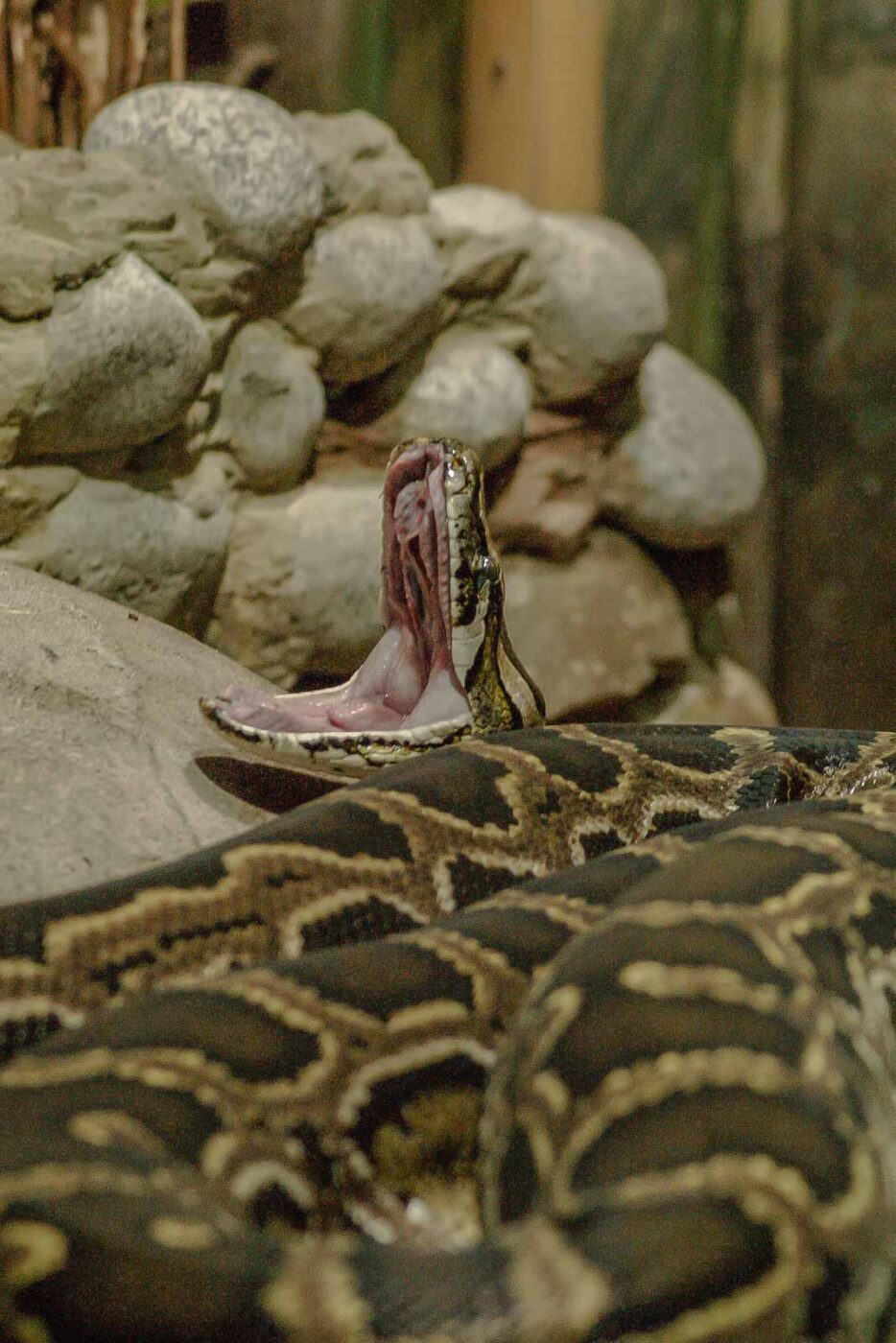 2016-02-17 - Tierpark und Fossilium Bochum