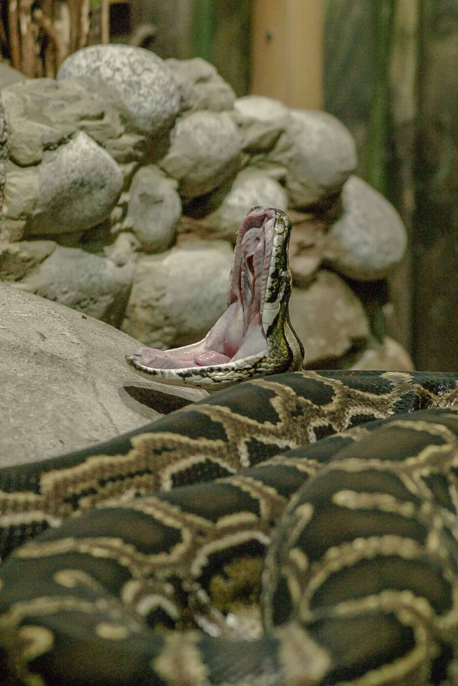 2016-02-17 - Tierpark und Fossilium Bochum