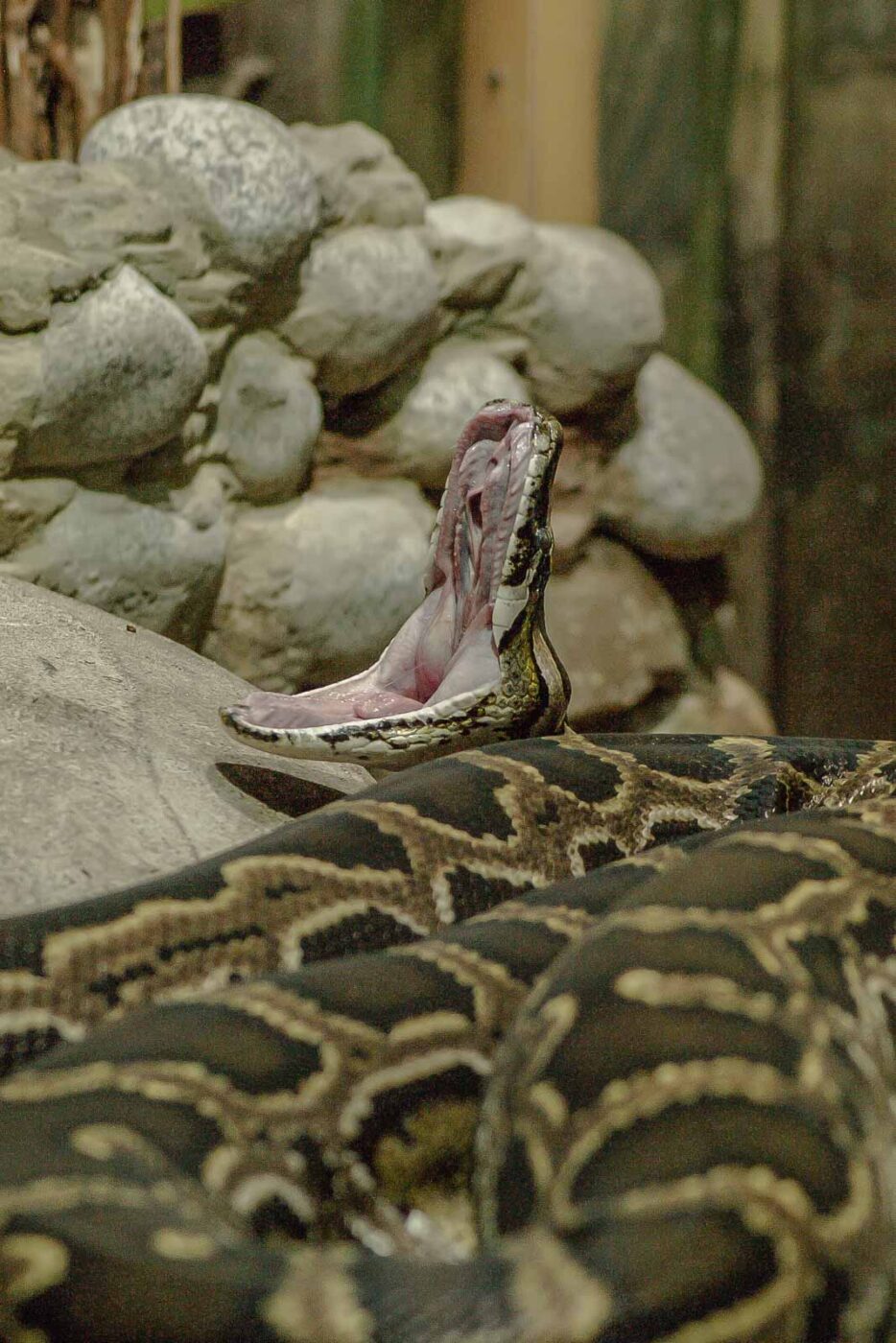 2016-02-17 - Tierpark und Fossilium Bochum