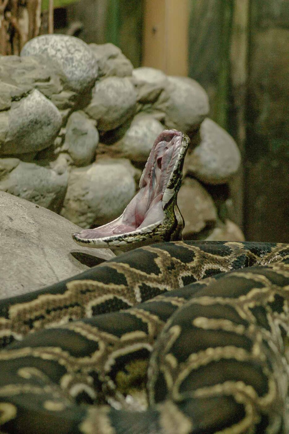 2016-02-17 - Tierpark und Fossilium Bochum